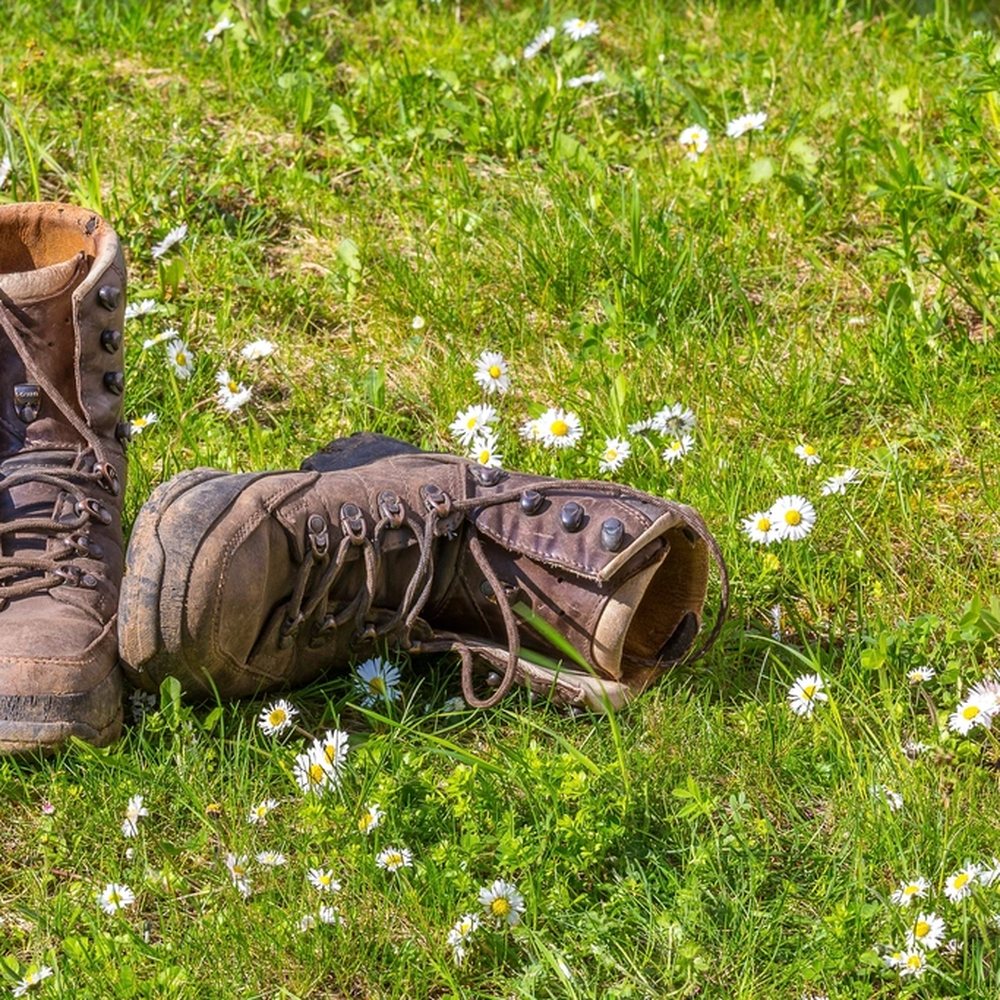 Cedar Ridge Hiking Boot