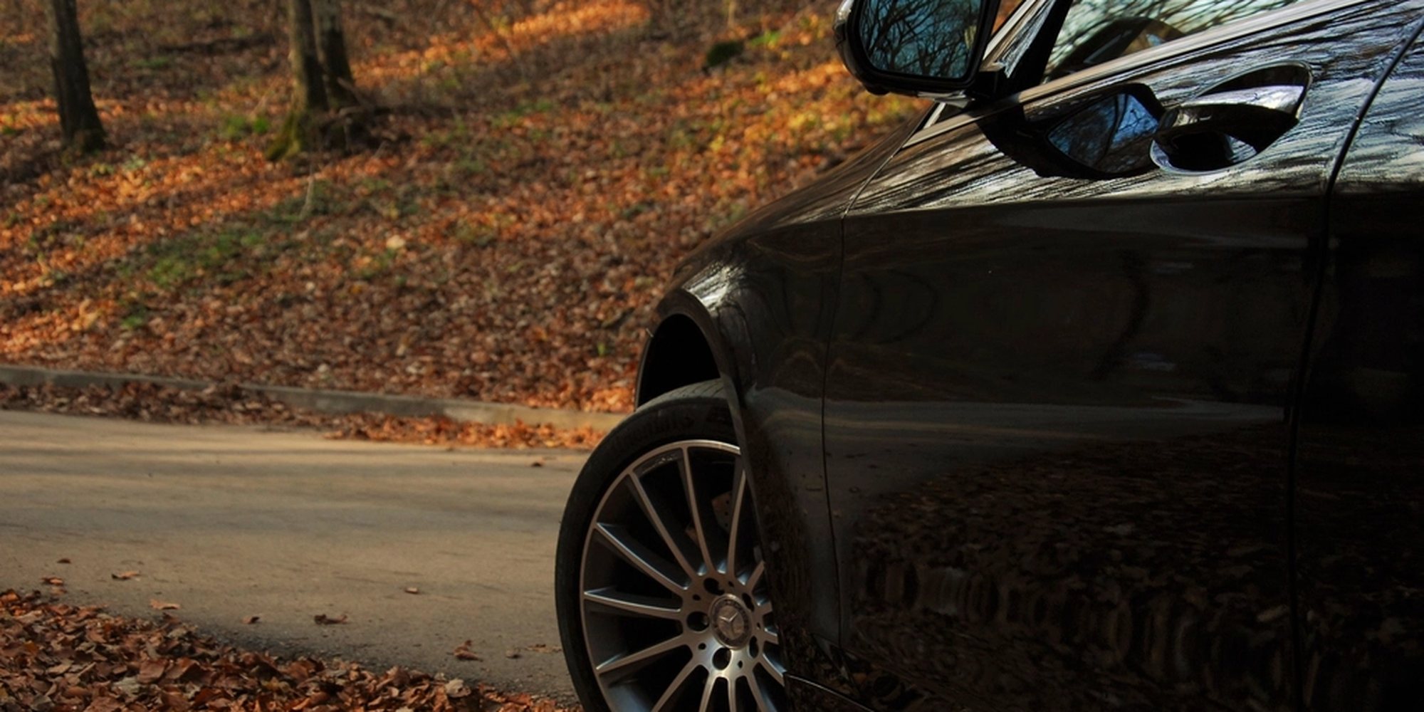 Freshly detailed paintwork catching the light